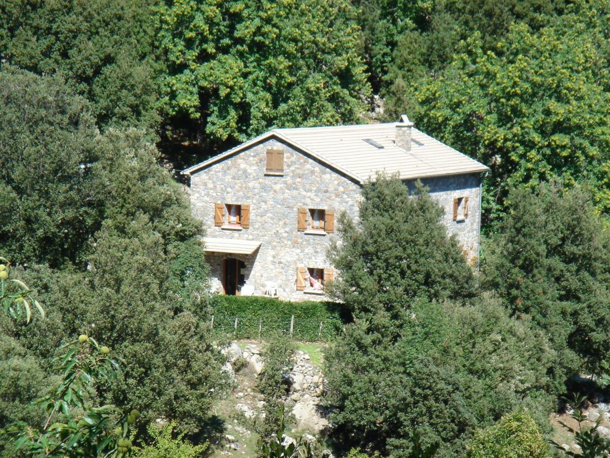 Chambre D'Hote "Chez Antoinette Et Charles" Santo-Pietro-di-Venaco Екстер'єр фото